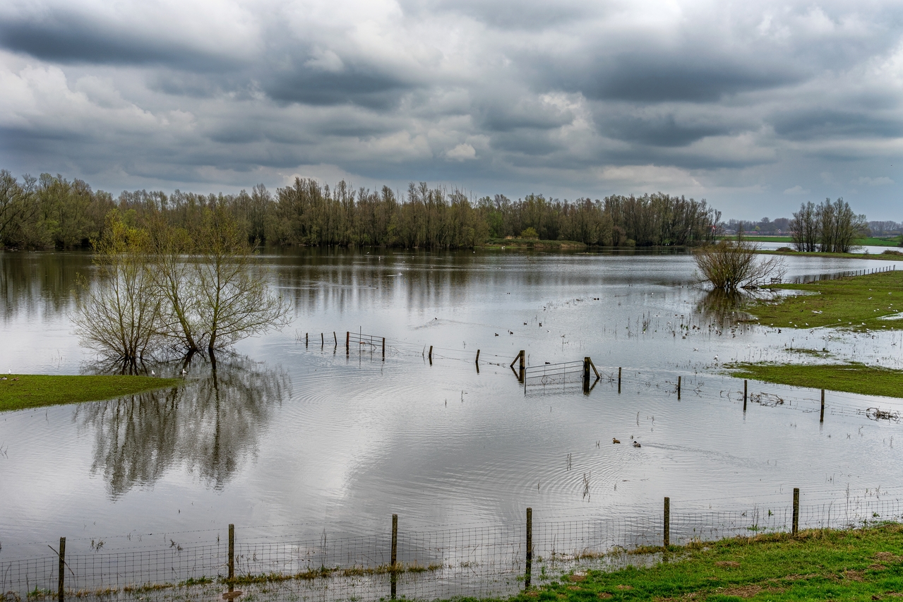 waal-river-bed-winter-overcast-day_1.jpg